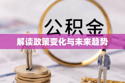 鸟松解读政策变化与未来趋势