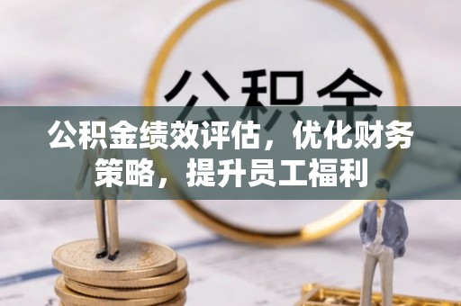 鸟松公积金绩效评估，优化财务策略，提升员工福利