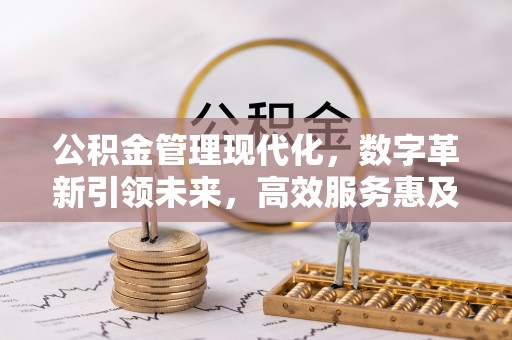 鸟松公积金管理现代化，数字革新引领未来，高效服务惠及民生