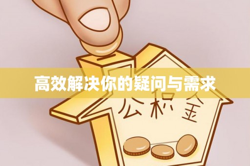 鸟松高效解决你的疑问与需求
