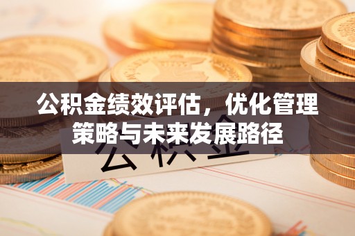 鸟松公积金绩效评估，优化管理策略与未来发展路径