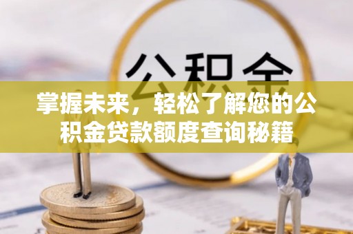 鸟松掌握未来，轻松了解您的公积金贷款额度查询秘籍