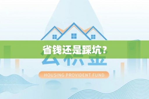 鸟松省钱还是踩坑？
