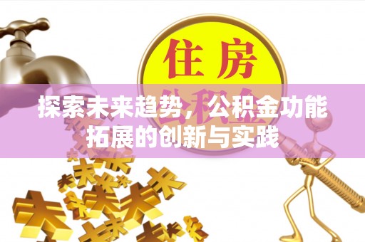 鸟松探索未来趋势，公积金功能拓展的创新与实践