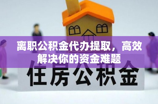 鸟松离职公积金代办提取，高效解决你的资金难题