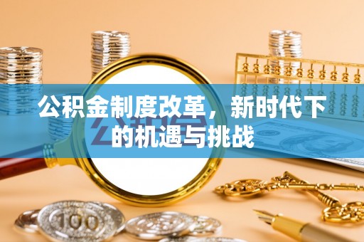 鸟松公积金制度改革，新时代下的机遇与挑战