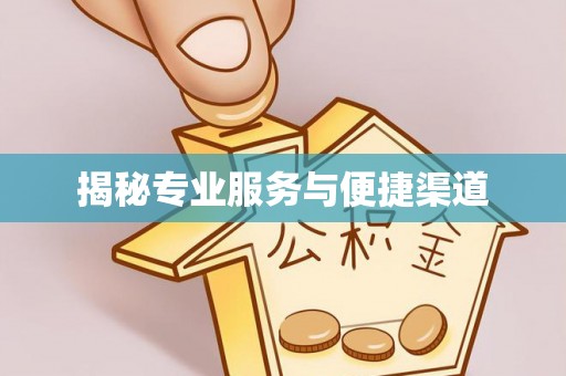 鸟松揭秘专业服务与便捷渠道