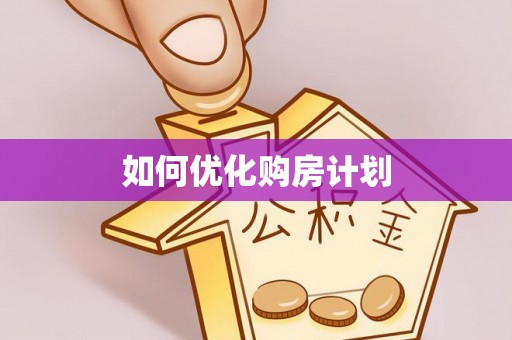 鸟松如何优化购房计划