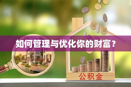 鸟松如何管理与优化你的财富？