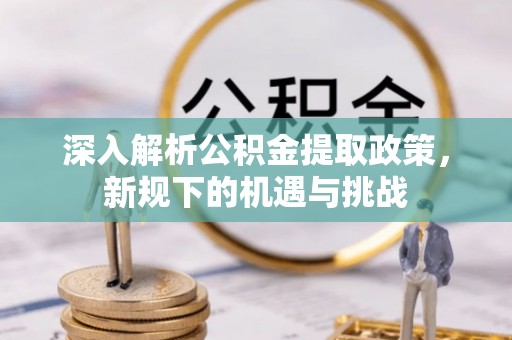 鸟松深入解析公积金提取政策，新规下的机遇与挑战