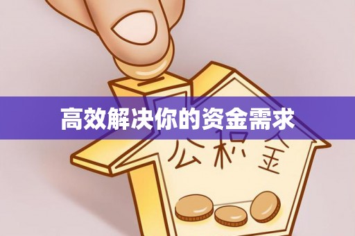 鸟松高效解决你的资金需求