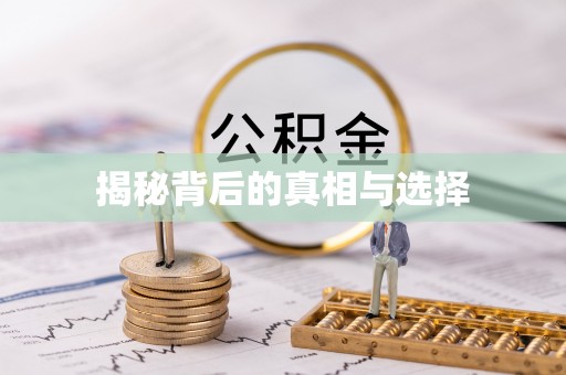 鸟松揭秘背后的真相与选择