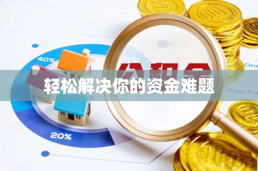 鸟松轻松解决你的资金难题
