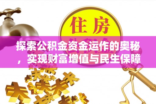 鸟松探索公积金资金运作的奥秘，实现财富增值与民生保障