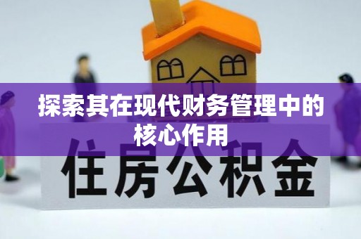 鸟松探索其在现代财务管理中的核心作用
