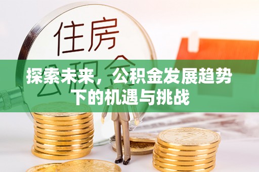 鸟松探索未来，公积金发展趋势下的机遇与挑战