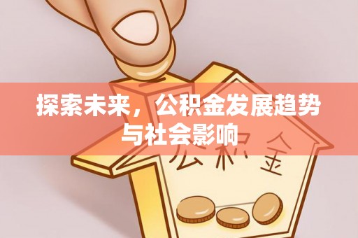鸟松探索未来，公积金发展趋势与社会影响