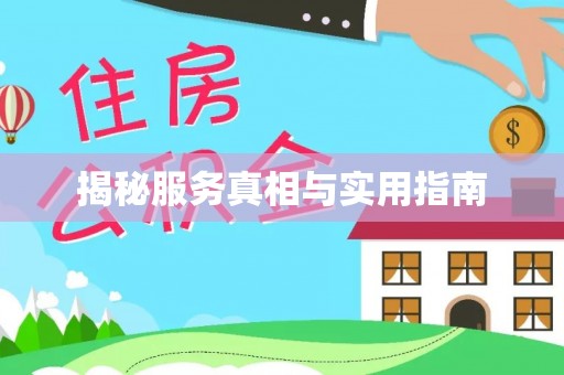 鸟松揭秘服务真相与实用指南