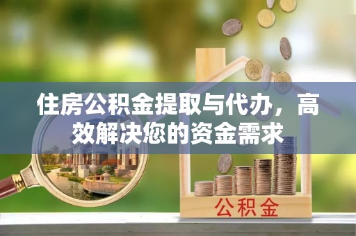 鸟松住房公积金提取与代办，高效解决您的资金需求