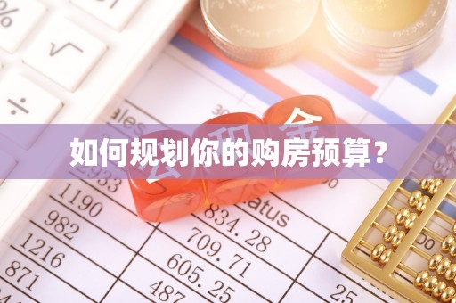 鸟松如何规划你的购房预算？