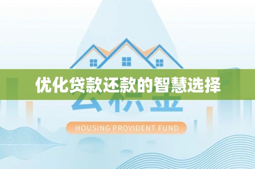 鸟松优化贷款还款的智慧选择