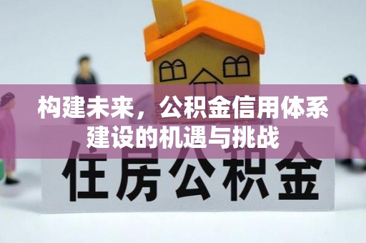 鸟松构建未来，公积金信用体系建设的机遇与挑战