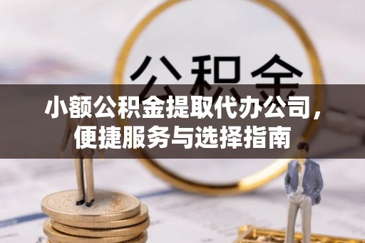 鸟松小额公积金提取代办公司，便捷服务与选择指南