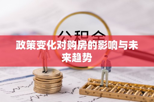 鸟松政策变化对购房的影响与未来趋势