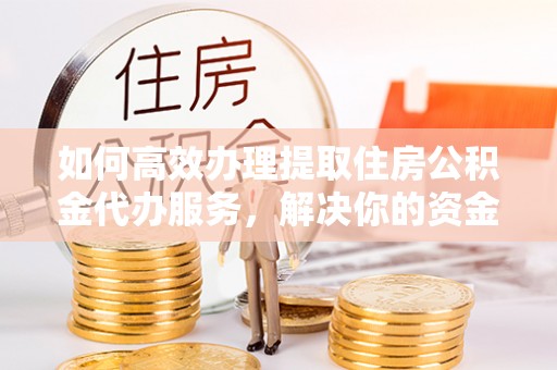 鸟松如何高效办理提取住房公积金代办服务，解决你的资金需求