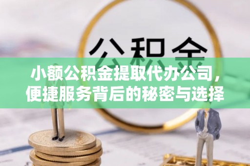鸟松小额公积金提取代办公司，便捷服务背后的秘密与选择指南