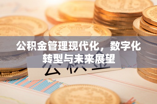 鸟松公积金管理现代化，数字化转型与未来展望