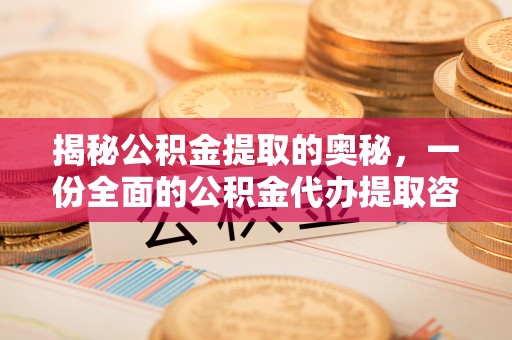 鸟松揭秘公积金提取的奥秘，一份全面的公积金代办提取咨询指南