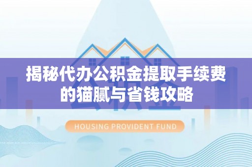 鸟松揭秘代办公积金提取手续费的猫腻与省钱攻略