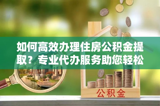 鸟松如何高效办理住房公积金提取？专业代办服务助您轻松搞定