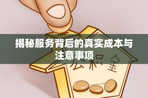 鸟松揭秘服务背后的真实成本与注意事项