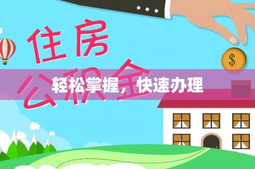 鸟松轻松掌握，快速办理