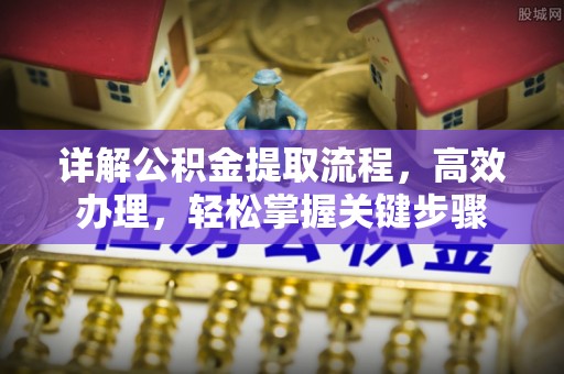 鸟松详解公积金提取流程，高效办理，轻松掌握关键步骤