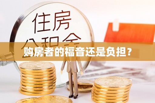 鸟松购房者的福音还是负担？